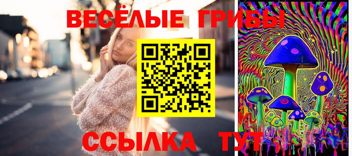 Псилоцибиновые грибы GOLDEN TEACHER Солнечногорск