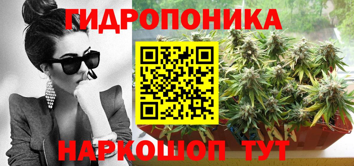 Солнечногорск  Конопля VHQ  Канабис VHQ  Каннабис индика  Вход с VPN  Бошки марихуана сатива 